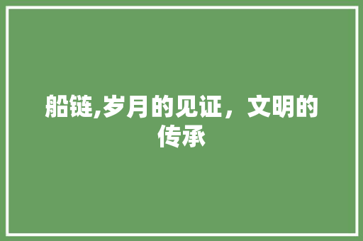 船链,岁月的见证，文明的传承