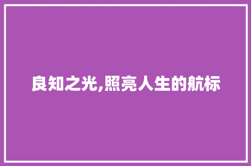 良知之光,照亮人生的航标