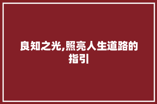 良知之光,照亮人生道路的指引