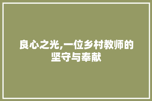 良心之光,一位乡村教师的坚守与奉献