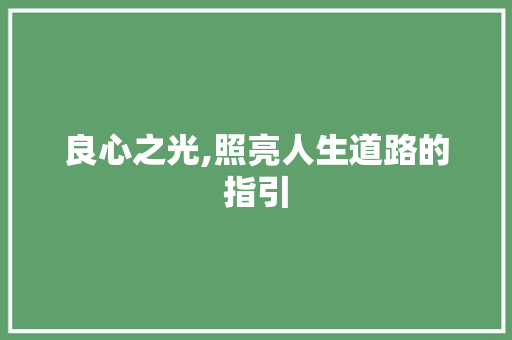 良心之光,照亮人生道路的指引