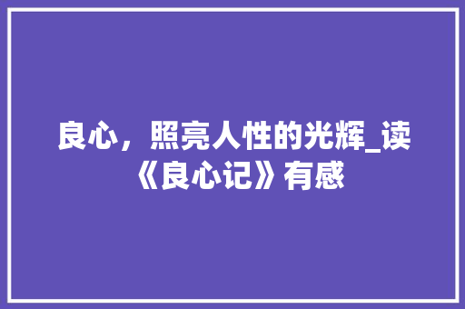 良心，照亮人性的光辉_读《良心记》有感