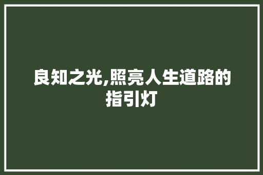 良知之光,照亮人生道路的指引灯