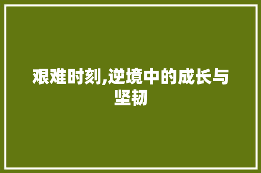 艰难时刻,逆境中的成长与坚韧