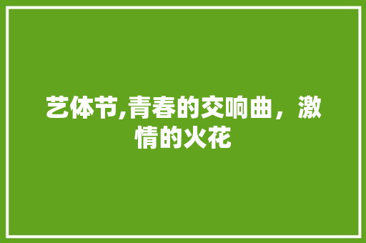 艺体节,青春的交响曲，激情的火花