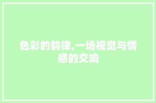 色彩的韵律,一场视觉与情感的交响