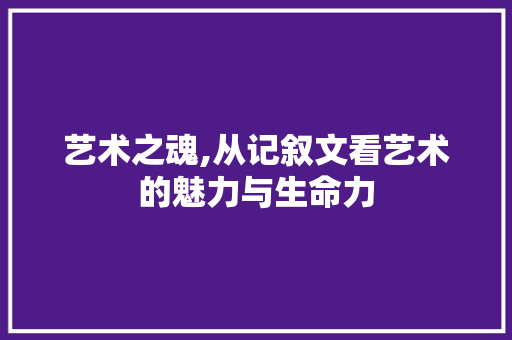 艺术之魂,从记叙文看艺术的魅力与生命力