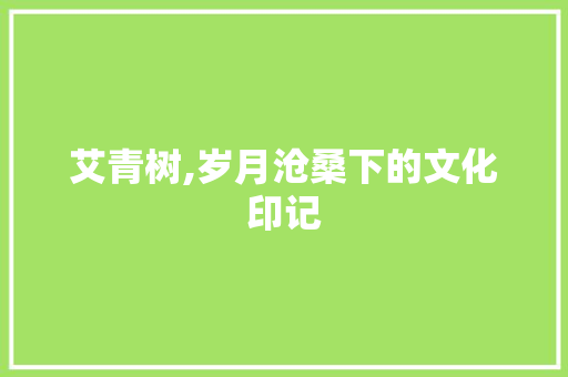 艾青树,岁月沧桑下的文化印记