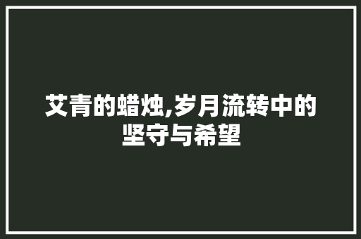 艾青的蜡烛,岁月流转中的坚守与希望