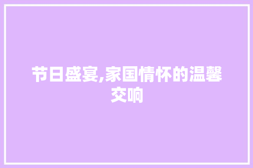 节日盛宴,家国情怀的温馨交响