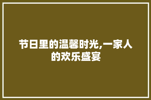 节日里的温馨时光,一家人的欢乐盛宴