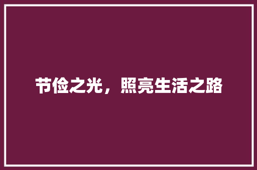 节俭之光，照亮生活之路