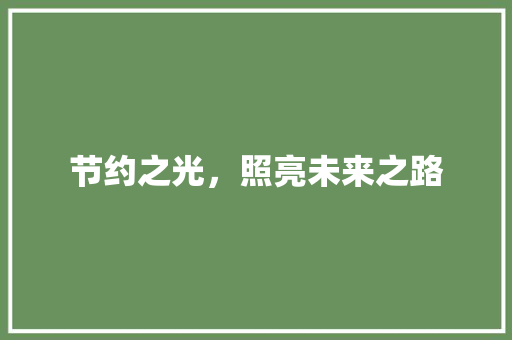 节约之光，照亮未来之路