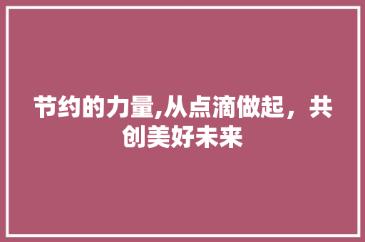 节约的力量,从点滴做起，共创美好未来