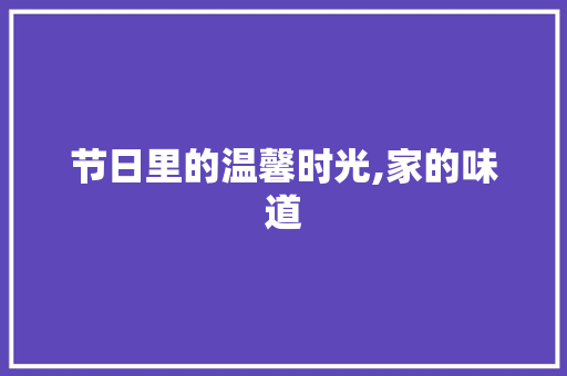 节日里的温馨时光,家的味道