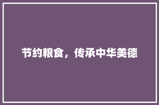 节约粮食，传承中华美德