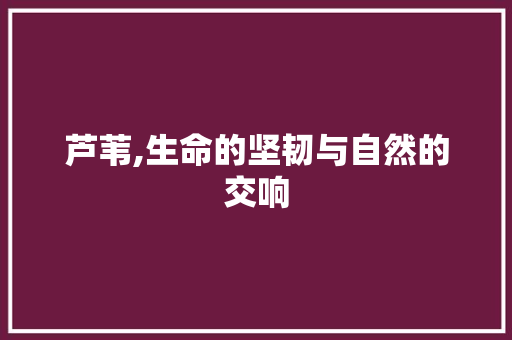 芦苇,生命的坚韧与自然的交响