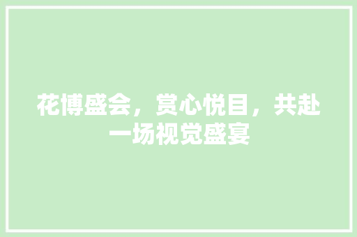 花博盛会，赏心悦目，共赴一场视觉盛宴