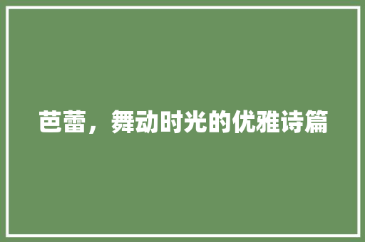 芭蕾，舞动时光的优雅诗篇