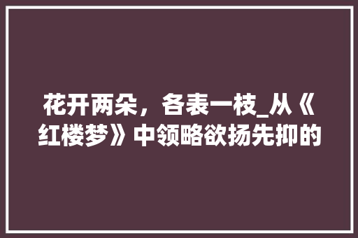 花开两朵，各表一枝_从《红楼梦》中领略欲扬先抑的艺术魅力