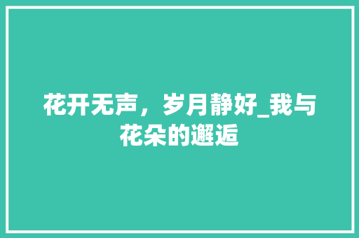 花开无声，岁月静好_我与花朵的邂逅