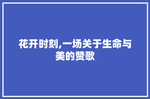 花开时刻,一场关于生命与美的赞歌