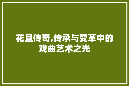 花旦传奇,传承与变革中的戏曲艺术之光