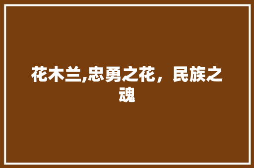 花木兰,忠勇之花，民族之魂