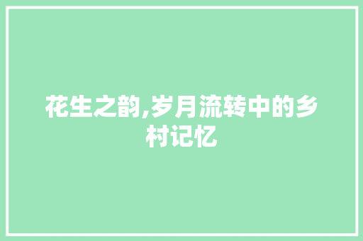 花生之韵,岁月流转中的乡村记忆