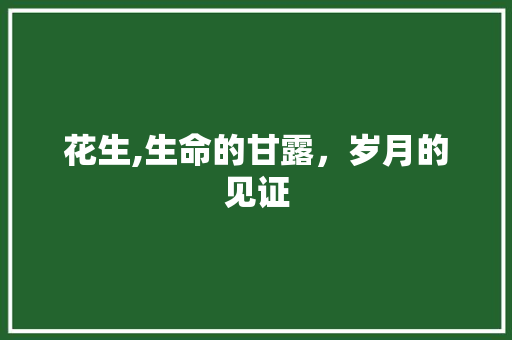 花生,生命的甘露，岁月的见证