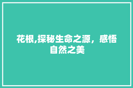 花根,探秘生命之源，感悟自然之美