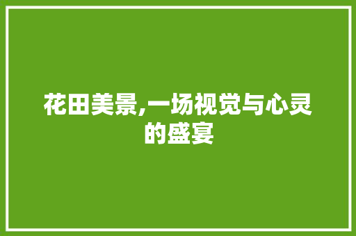 花田美景,一场视觉与心灵的盛宴