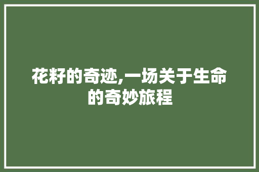 花籽的奇迹,一场关于生命的奇妙旅程