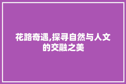 花路奇遇,探寻自然与人文的交融之美