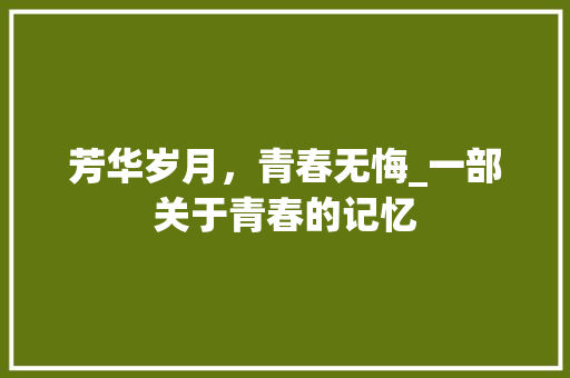 芳华岁月，青春无悔_一部关于青春的记忆