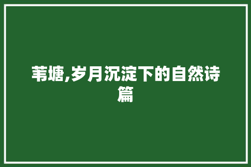 苇塘,岁月沉淀下的自然诗篇