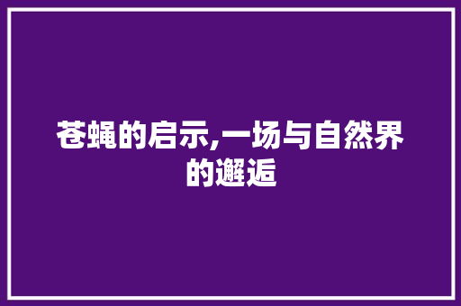 苍蝇的启示,一场与自然界的邂逅