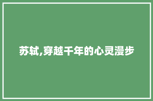 苏轼,穿越千年的心灵漫步