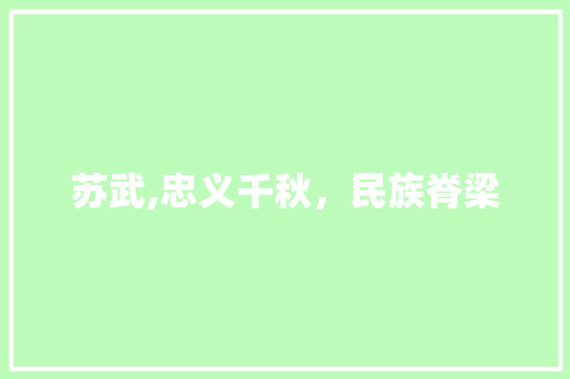 苏武,忠义千秋，民族脊梁