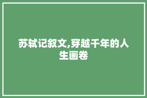 苏轼记叙文,穿越千年的人生画卷