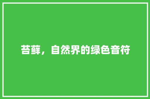 苔藓，自然界的绿色音符