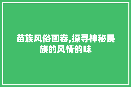 苗族风俗画卷,探寻神秘民族的风情韵味