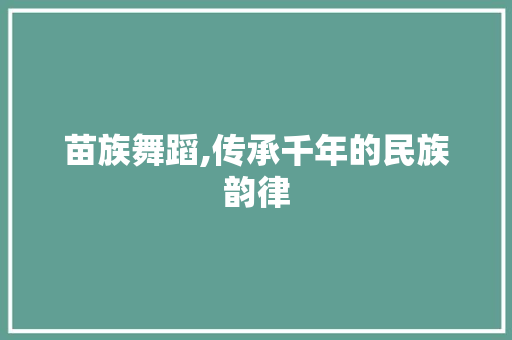 苗族舞蹈,传承千年的民族韵律