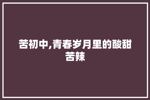 苦初中,青春岁月里的酸甜苦辣