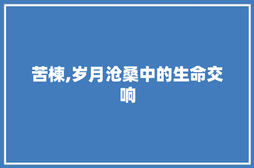 苦楝,岁月沧桑中的生命交响