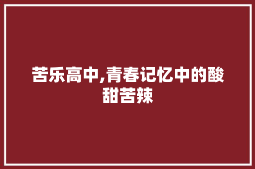 苦乐高中,青春记忆中的酸甜苦辣