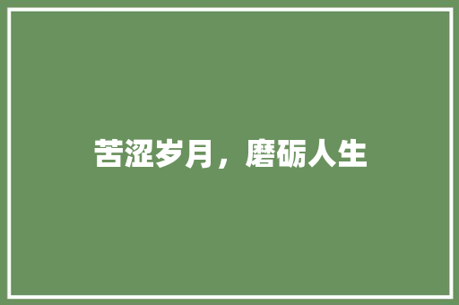 苦涩岁月，磨砺人生