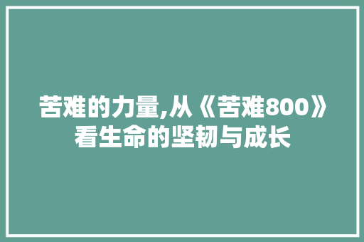 苦难的力量,从《苦难800》看生命的坚韧与成长