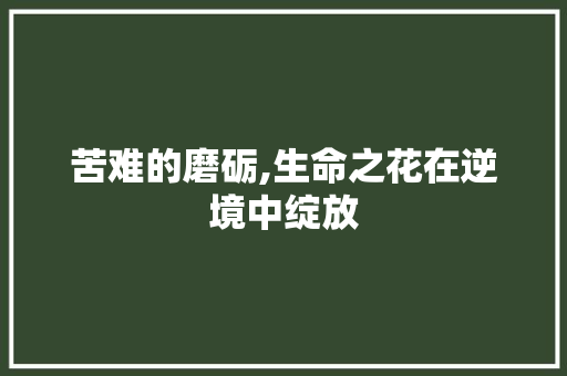 苦难的磨砺,生命之花在逆境中绽放