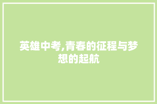 英雄中考,青春的征程与梦想的起航